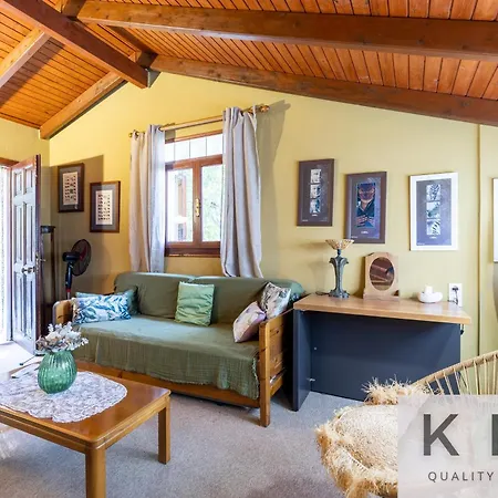 Anti-pera With Private Pool In Dilinata Village! Villa Argostoli (Kefalonia)